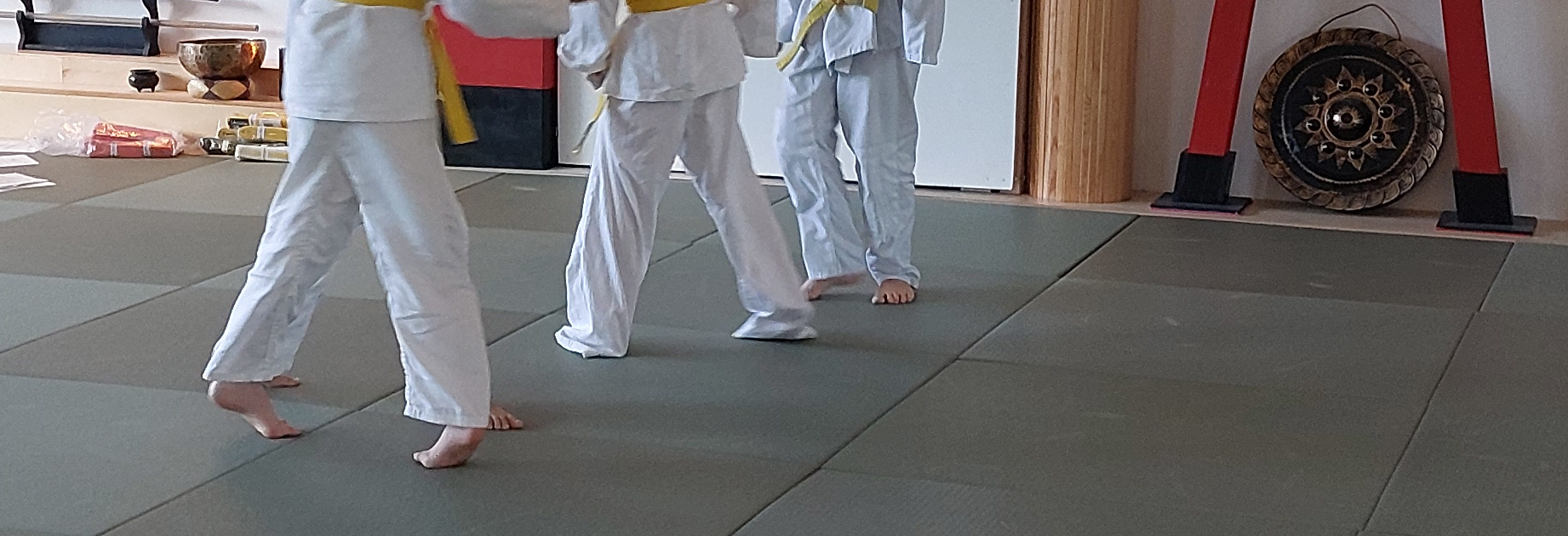 Kinder Aikido Training
